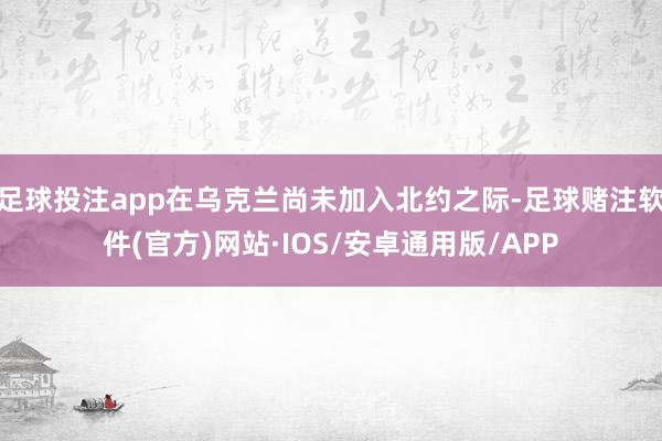 足球投注app在乌克兰尚未加入北约之际-足球赌注软件(官方)网站·IOS/安卓通用版/APP