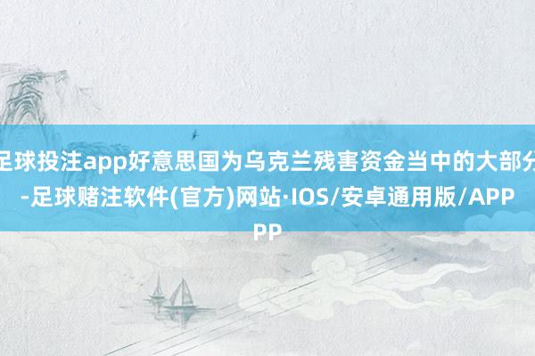 足球投注app好意思国为乌克兰残害资金当中的大部分-足球赌注软件(官方)网站·IOS/安卓通用版/APP