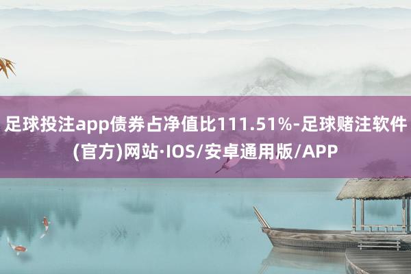 足球投注app债券占净值比111.51%-足球赌注软件(官方)网站·IOS/安卓通用版/APP