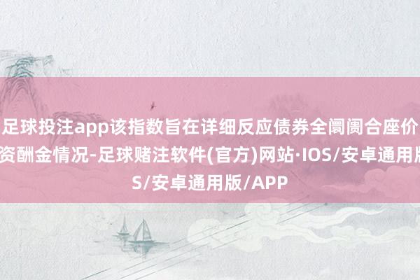 足球投注app该指数旨在详细反应债券全阛阓合座价钱和投资酬金情况-足球赌注软件(官方)网站·IOS/安卓通用版/APP