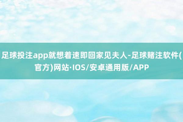 足球投注app就想着速即回家见夫人-足球赌注软件(官方)网站·IOS/安卓通用版/APP