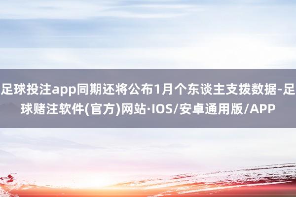 足球投注app同期还将公布1月个东谈主支拨数据-足球赌注软件(官方)网站·IOS/安卓通用版/APP
