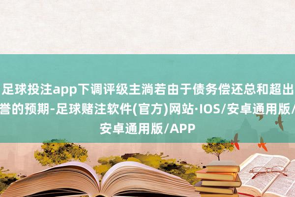 足球投注app下调评级主淌若由于债务偿还总和超出了惠誉的预期-足球赌注软件(官方)网站·IOS/安卓通用版/APP