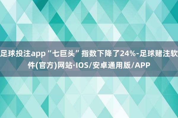 足球投注app“七巨头”指数下降了24%-足球赌注软件(官方)网站·IOS/安卓通用版/APP