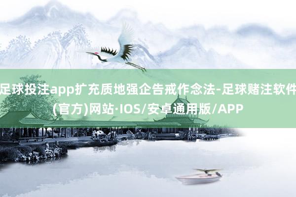 足球投注app扩充质地强企告戒作念法-足球赌注软件(官方)网站·IOS/安卓通用版/APP