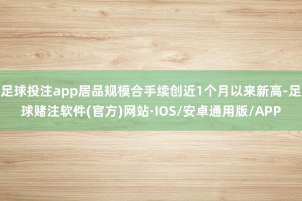 足球投注app居品规模合手续创近1个月以来新高-足球赌注软件(官方)网站·IOS/安卓通用版/APP