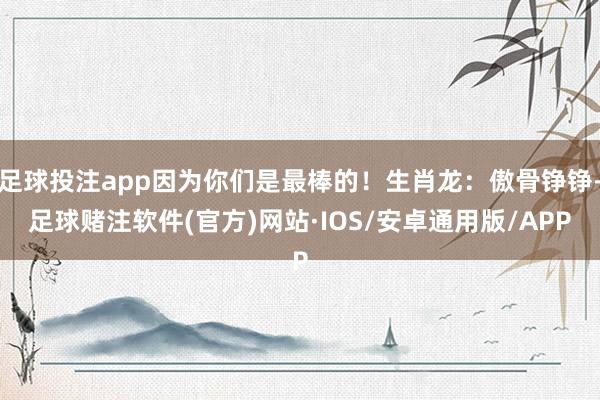 足球投注app因为你们是最棒的！生肖龙：傲骨铮铮-足球赌注软件(官方)网站·IOS/安卓通用版/APP
