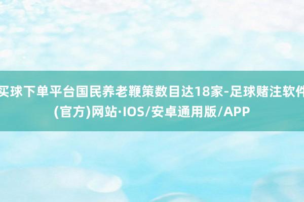 买球下单平台国民养老鞭策数目达18家-足球赌注软件(官方)网站·IOS/安卓通用版/APP