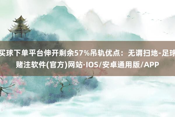 买球下单平台伸开剩余57%吊轨优点：无谓扫地-足球赌注软件(官方)网站·IOS/安卓通用版/APP