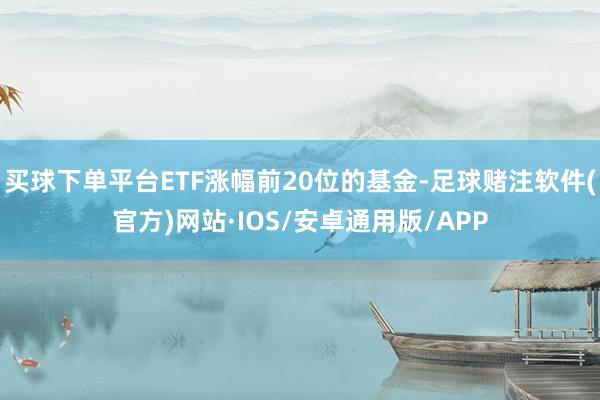 买球下单平台ETF涨幅前20位的基金-足球赌注软件(官方)网站·IOS/安卓通用版/APP