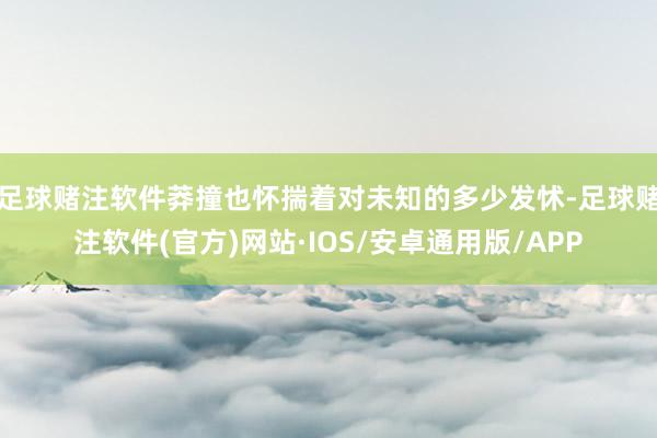 足球赌注软件莽撞也怀揣着对未知的多少发怵-足球赌注软件(官方)网站·IOS/安卓通用版/APP