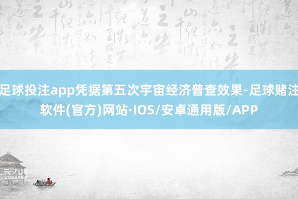 足球投注app凭据第五次宇宙经济普查效果-足球赌注软件(官方)网站·IOS/安卓通用版/APP