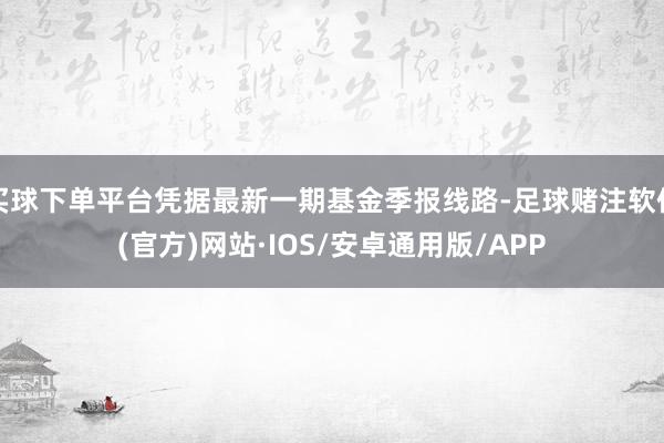 买球下单平台凭据最新一期基金季报线路-足球赌注软件(官方)网站·IOS/安卓通用版/APP