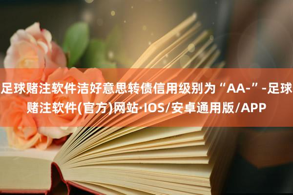 足球赌注软件洁好意思转债信用级别为“AA-”-足球赌注软件(官方)网站·IOS/安卓通用版/APP