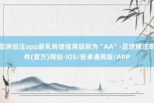 足球投注app新乳转债信用级别为“AA”-足球赌注软件(官方)网站·IOS/安卓通用版/APP