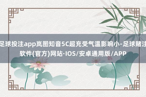 足球投注app岚图知音5C超充受气温影响小-足球赌注软件(官方)网站·IOS/安卓通用版/APP