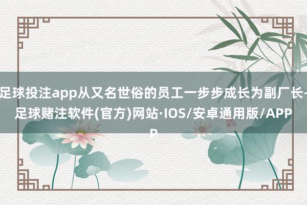 足球投注app从又名世俗的员工一步步成长为副厂长-足球赌注软件(官方)网站·IOS/安卓通用版/APP