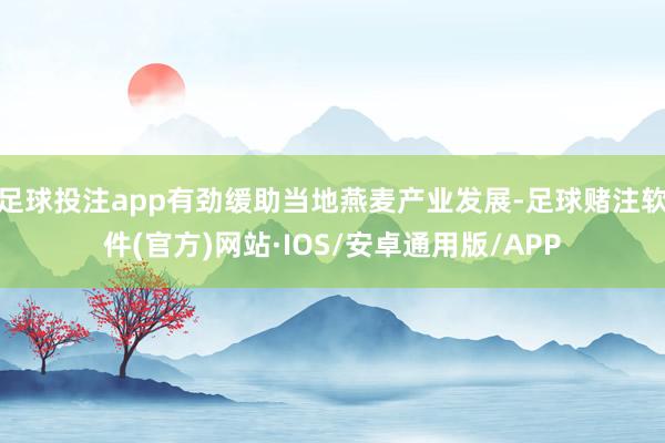 足球投注app有劲缓助当地燕麦产业发展-足球赌注软件(官方)网站·IOS/安卓通用版/APP