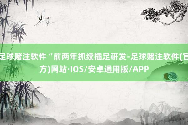 足球赌注软件“前两年抓续插足研发-足球赌注软件(官方)网站·IOS/安卓通用版/APP