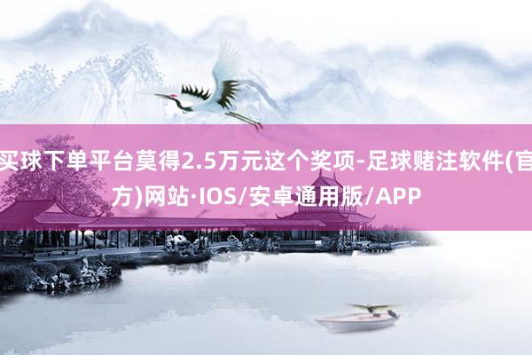 买球下单平台莫得2.5万元这个奖项-足球赌注软件(官方)网站·IOS/安卓通用版/APP