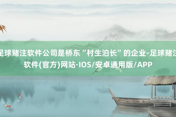 足球赌注软件公司是桥东“村生泊长”的企业-足球赌注软件(官方)网站·IOS/安卓通用版/APP