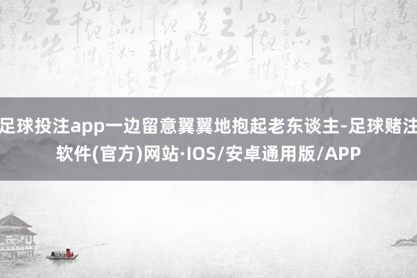 足球投注app一边留意翼翼地抱起老东谈主-足球赌注软件(官方)网站·IOS/安卓通用版/APP
