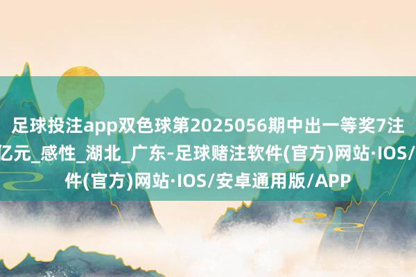 足球投注app双色球第2025056期中出一等奖7注筹集公益金1.32亿元_感性_湖北_广东-足球赌注软件(官方)网站·IOS/安卓通用版/APP