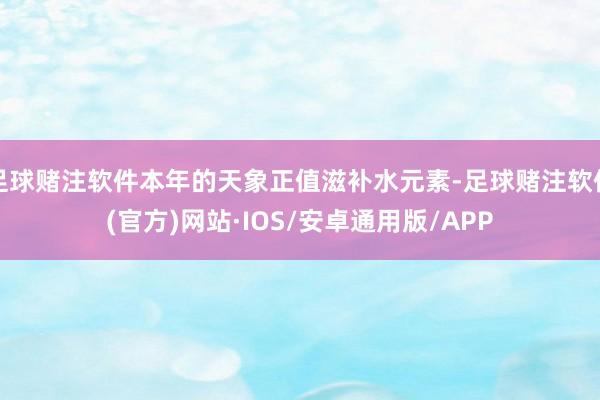 足球赌注软件本年的天象正值滋补水元素-足球赌注软件(官方)网站·IOS/安卓通用版/APP