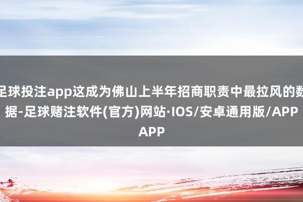 足球投注app这成为佛山上半年招商职责中最拉风的数据-足球赌注软件(官方)网站·IOS/安卓通用版/APP