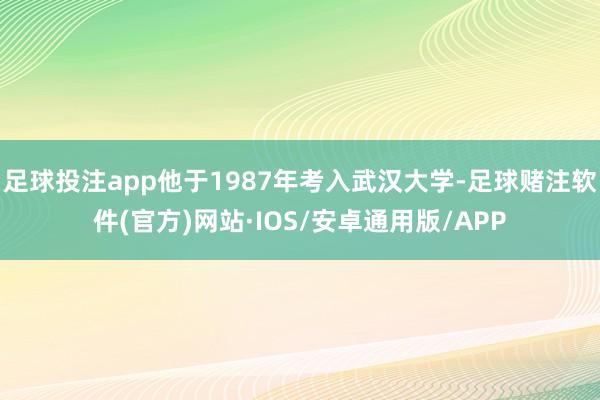 足球投注app他于1987年考入武汉大学-足球赌注软件(官方)网站·IOS/安卓通用版/APP