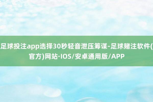 足球投注app选择30秒轻音泄压筹谋-足球赌注软件(官方)网站·IOS/安卓通用版/APP