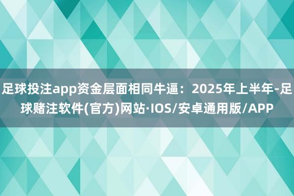 足球投注app资金层面相同牛逼：2025年上半年-足球赌注软件(官方)网站·IOS/安卓通用版/APP