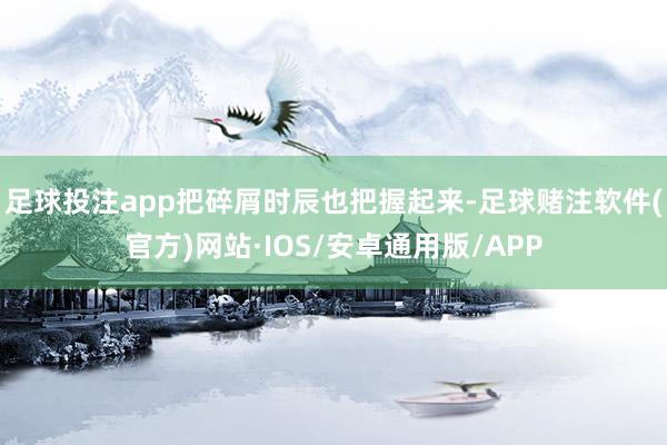 足球投注app把碎屑时辰也把握起来-足球赌注软件(官方)网站·IOS/安卓通用版/APP