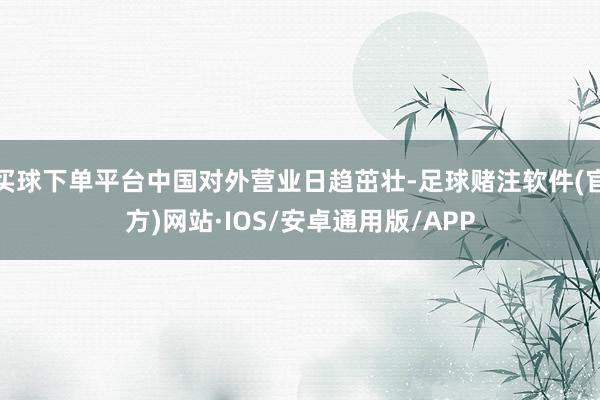 买球下单平台中国对外营业日趋茁壮-足球赌注软件(官方)网站·IOS/安卓通用版/APP