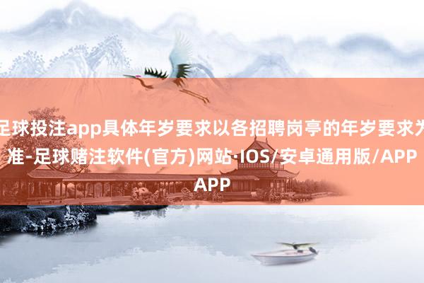 足球投注app具体年岁要求以各招聘岗亭的年岁要求为准-足球赌注软件(官方)网站·IOS/安卓通用版/APP